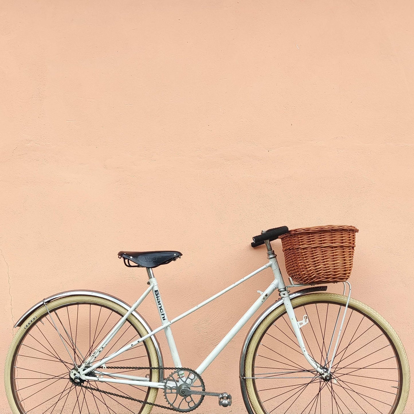Bicicletta BIANCHI Sport Anni '90