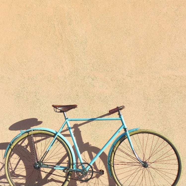 Bicicletta BIANCHI Mod. Idro 1956