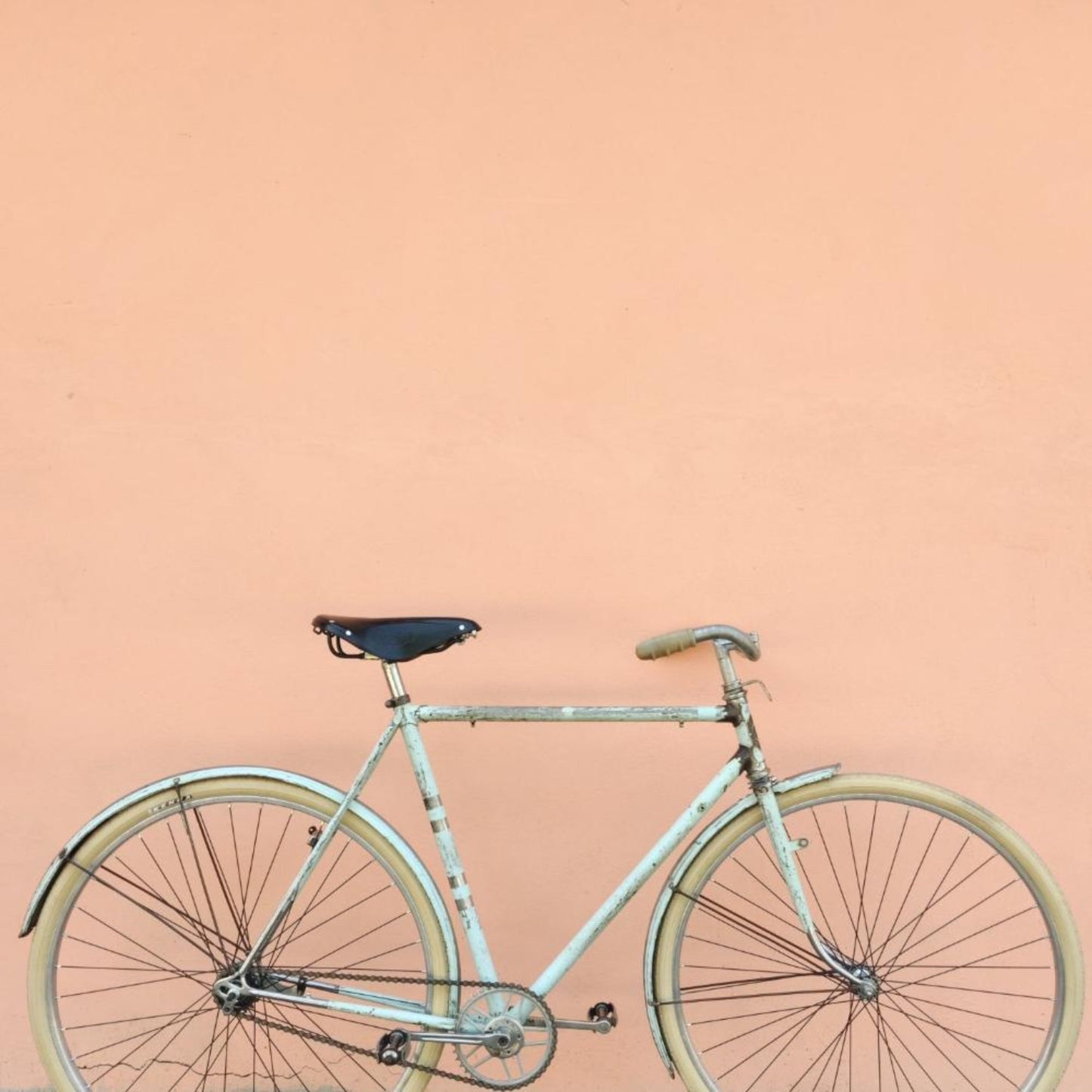 A. GROPERA Sport Bicycle 50's