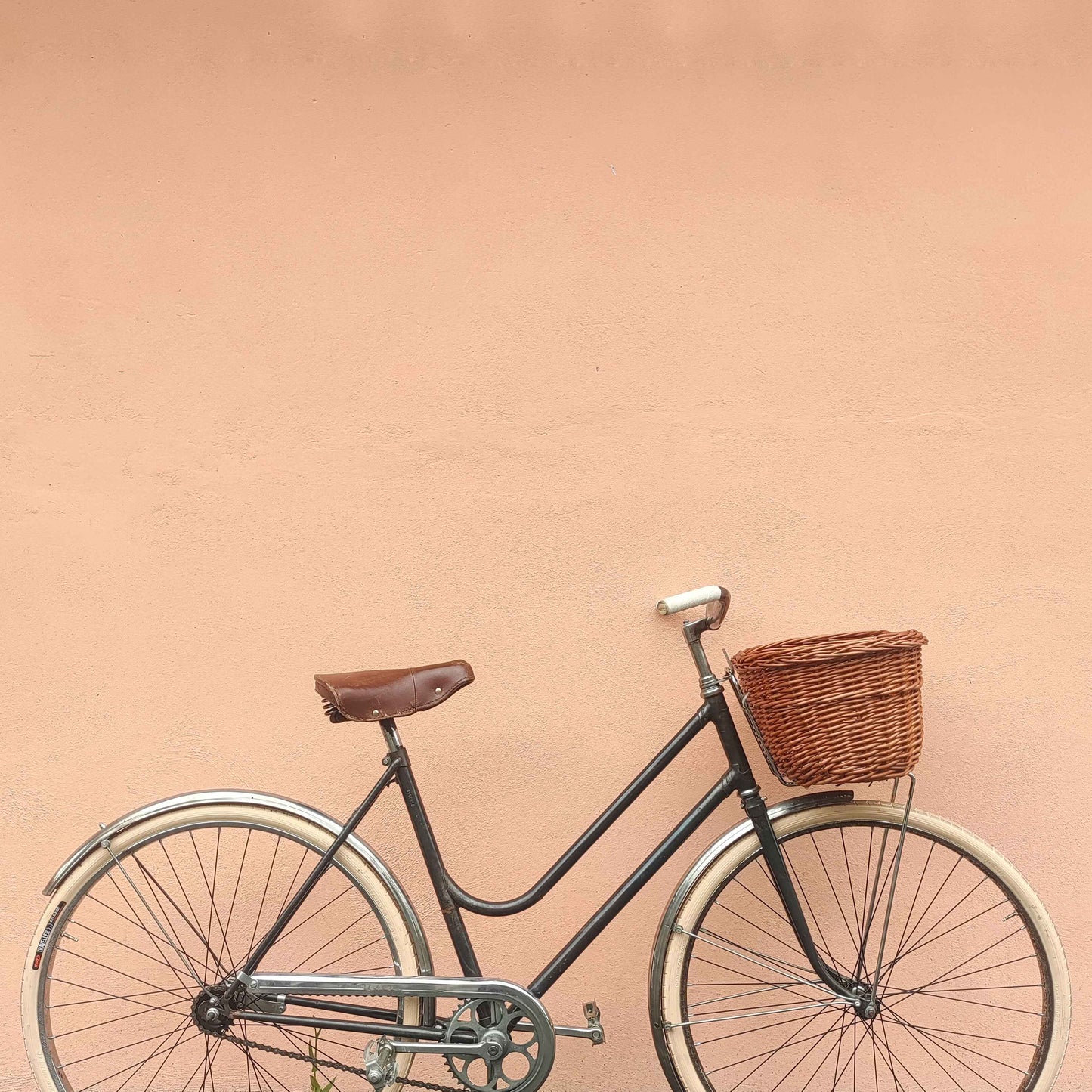 Bicicletta ANONIMA Anni '60