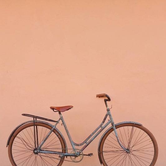 Bicicletta PIEMONTESE Anni '30