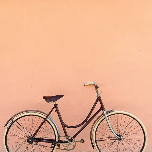 Bicicletta BIANCHI Mod. ROSA (Real) Anni '30