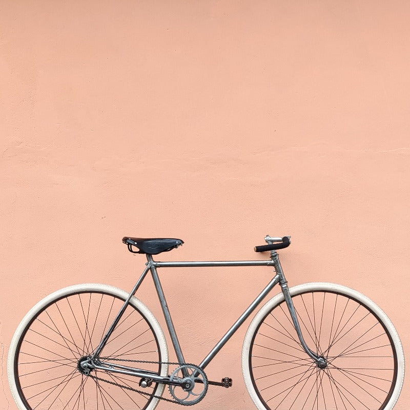 Bicicletta ANONIMA Corsa Anni '50